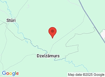  "Mauriņi", Baldones pagasts, Ķekavas nov., LV-2125,  Mauriņi, ZS