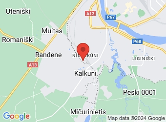  Birķeneļu 2-11, Daugavpils LV-5412,  Medicīniskā dezinfekcija, IU
