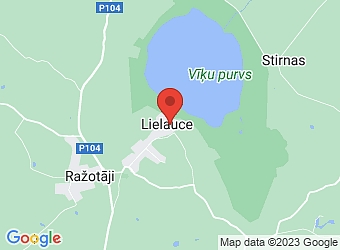  Lielauce, "Dzelmes" -5, Lielauces pagasts, Dobeles nov. LV-3723,  Medza, SIA