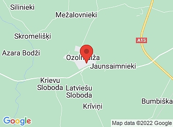  Ozolmuiža, "Kārumnieks" -16, Ozolmuižas pagasts, Rēzeknes nov., LV-4633,  Meinkun, SIA
