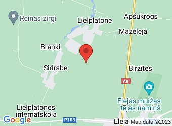  "Meistari", Lielplatones pagasts, Jelgavas nov., LV-3022,  Meistari, ZS