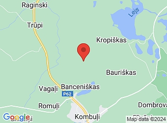  "Mežvidi", Pliuči, Kombuļu pagasts, Krāslavas nov. LV-5656,  Mežvidi, ZS