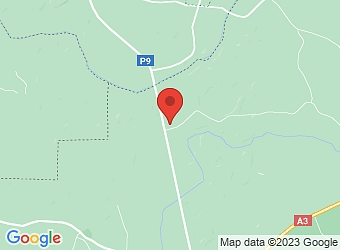  "Lejasdzeguzes" , Krimuldas pagasts, Siguldas nov. LV-2144,  Mieļēni A, SIA