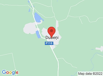  Dubeņi , Grobiņas pagasts, Dienvidkurzemes nov. LV-3438,  mini top!, veikals