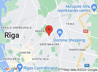  Krišjāņa Barona 129 - 66, Rīga, LV-1012,  My Perfect Dog, SIA