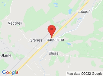  Jaunolaine , Olaines pagasts, Olaines nov., LV-2127,  Netvision, SIA, Filiāle
