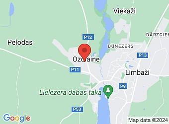  Ozolaine, Ābeļu 5-8, Limbažu pagasts, Limbažu nov. LV-4001,  NISANA-T, SIA