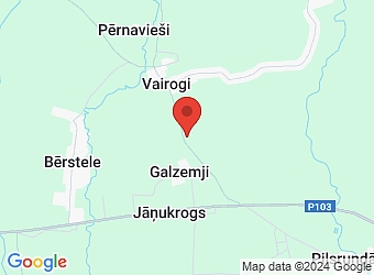  "Imantas", Viesturu pagasts, Bauskas nov., LV-3927,  NK1, SIA