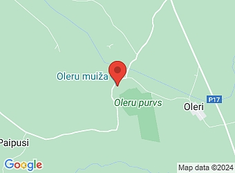  "Oleru muiža", Jeru pagasts, Valmieras nov. LV-4234,  Oleru muiža, biedrība