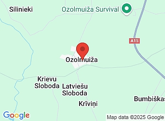  Ozolmuiža , Ozolmuižas pagasts, Rēzeknes nov. LV-4633,  Ozolmuižas pagasta bāriņtiesa