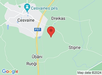  "Smilškalni", Cesvaines pagasts, Madonas nov., LV-4871,  Ozols LG, SIA, Kokapstrādes cehs