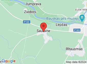  "Saulaine 25", Saulaine, Rundāles pagasts, Bauskas nov., LV-3901,  Pieci gadalaiki, SIA