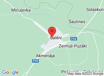  Galēni, Parka 4-4, Galēnu pagasts, Preiļu nov., LV-5311,  Platinum Service, SIA