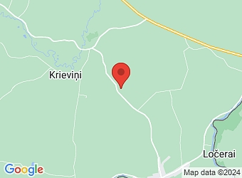  "Druvas", Kurmenes pagasts, Bauskas nov., LV-5115,  Priede-A, SIA
