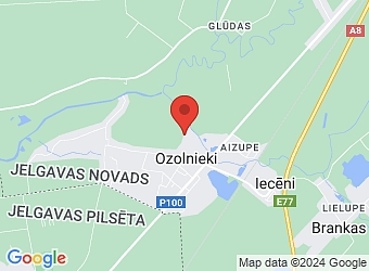  "Dārznieki", Ozolnieki, Ozolnieku pagasts, Jelgavas nov., LV-3018,  Proffzz, SIA