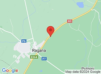 "Purgaiļi", Krimuldas pagasts, Siguldas nov. LV-2144,  Purgaļi, ZS