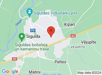  J.Ozola 5, Sigulda, Siguldas nov., LV-2150,  Purple AD, SIA
