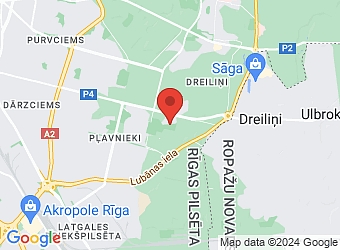  Salnas 14 - 4, Rīga, LV-1021,  Putnusalas laivas, SIA