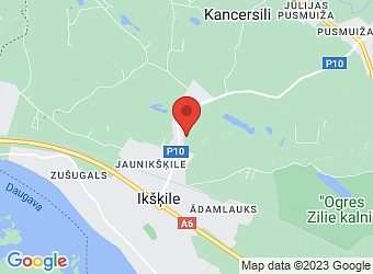  "Ezermalas 2", Tīnūžu pagasts, Ogres nov., LV-5052,  Reduks, SIA