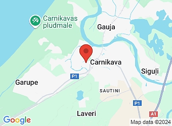  Līču 9, Carnikava, Carnikavas pagasts, Ādažu nov., LV-2163,  REGNAUTO, SIA