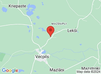  "Remesi", Vecpils pagasts, Dienvidkurzemes nov., LV-3441,  Remesi, ZS