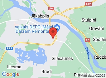  Jāņa Akuratera 1, Jēkabpils, Jēkabpils nov.,  Rēnijs, SIA