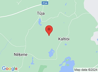 "Celmiņi", Alsviķu pagasts, Alūksnes nov., LV-4333,  Rīti, ZS