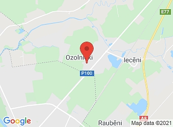  Ozolnieki, Ziedoņa 11, Ozolnieku pagasts, Jelgavas nov., LV-3018,  Ritms, biedrība