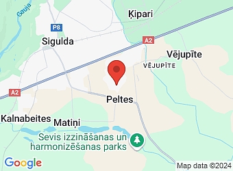  Klusā 9, Sigulda, Siguldas nov., LV-2150,  RK Meži, SIA