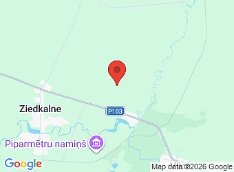  "Ķeikuļi", Vilces pagasts, Jelgavas nov., LV-3026,  Rline, SIA