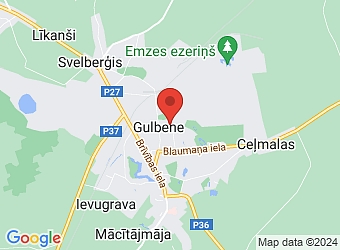  O. Kalpaka 27A, Gulbene, Gulbenes nov. LV-4401,  Saulespuķe, ziedu studija