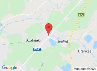  Ozolnieki, Rīgas 29, Ozolnieku pagasts, Jelgavas nov., LV-3018,  Šeines R. ģimenes ārsta un internista prakse, Filiāle
