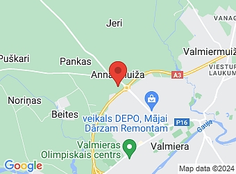  "Vecšalkas", Kocēnu pagasts, Valmieras nov., LV-4220,  Silver Vein, SIA