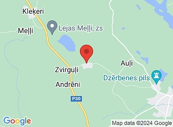  "Lejas Šovītes", Dzērbenes pagasts, Cēsu nov., LV-4118,  Šovītes, ZS