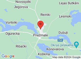  Priežmale , Kastuļinas pagasts, Krāslavas nov. LV-5685,  Stivriņi, ZS