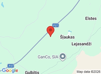  "Elstu Dzintari", Daukstu pagasts, Gulbenes nov., LV-4429,  Šveices mežu kapitāls, SIA