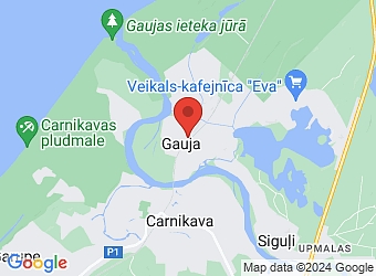  "Ievas", Gauja, Carnikavas pagasts, Ādažu nov., LV-2163,  Tirdzniecības nams Asva, SIA