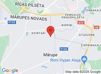  Paleju 16, Mārupe, Mārupes nov. LV-2167,  Top Plant, SIA