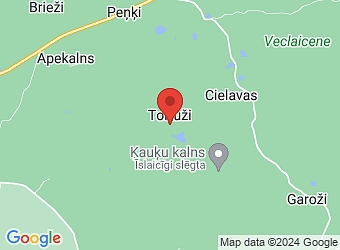  "Tortuži", Jaunlaicenes pagasts, Alūksnes nov., LV-4336,  Tortuži, ZS
