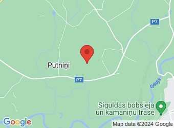  "Purmaļi", Krimuldas pagasts, Siguldas nov. LV-2144,  Turaidas Viesturs, brīvdienu māja
