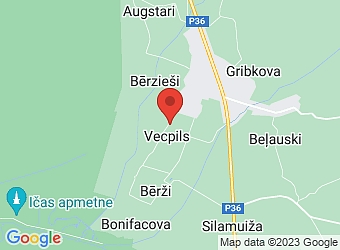  Vecpils, "Liepas 2" , Bērzpils pagasts, Balvu nov., LV-4576,  Vecpils auto, SIA