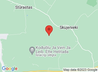  "Vecsalenieki", Stāmerienas pagasts, Gulbenes nov., LV-4406,  Vecsalenieki, SIA