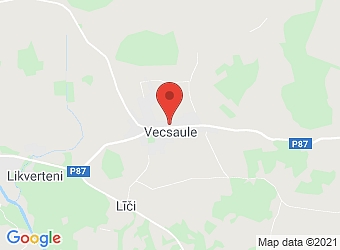  Vecsaule , Vecsaules pagasts, Bauskas nov., LV-3932,  Vecsaules pamatskola