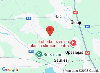  Jaunsišu 27, Dzidriņas, Stopiņu pagasts, Ropažu nov., LV-2130,  Wise Wood, SIA