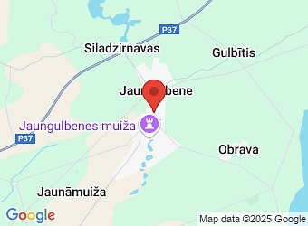  Ozolu 2 - 8, Jaungulbene, Jaungulbenes pagasts, Gulbenes nov., LV-4420,  Woodland Latvia, SIA