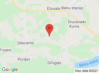  Meirāni , Kubulu pagasts, Balvu nov., LV-4566,  Zelči 2, ZS