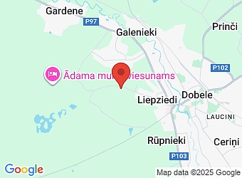  "Ziedi 1", Auru pagasts, Dobeles nov., LV-3701,  Ziedi JP, AS