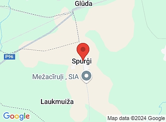  "Žiguļi", Zaļenieku pagasts, Jelgavas nov., LV-3011,  ŽIGUĻI, ZS