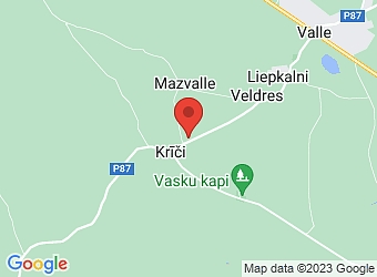  "Ziliņi", Valles pagasts, Bauskas nov., LV-5106,  Ziliņi, ZS