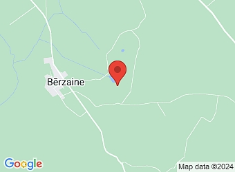  "Zilūži", Bērzaines pagasts, Valmieras nov. LV-4208,  Zilūži, ZS